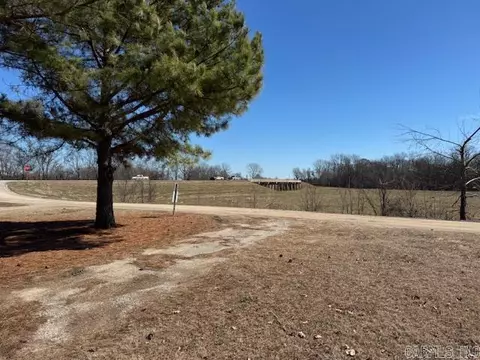 Other - 42 River Bridge Trl, Reyno, AR 72462 photo 13 of 13
