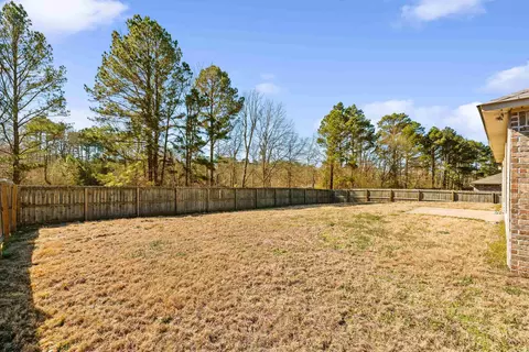 Exterior - 1001 Meadows Edge, Alexander, AR 72002 photo 6 of 8