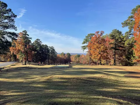 lot487 Hersfeld Rd, Drasco, AR 72530 photo 7