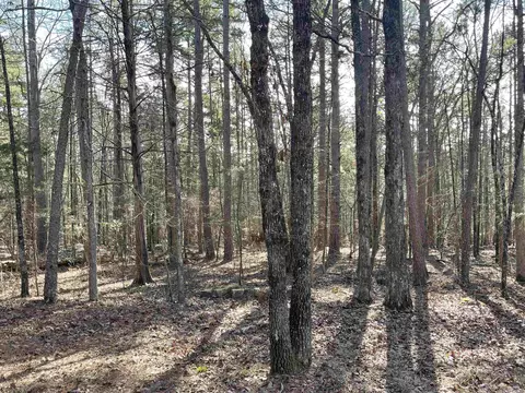 lot487 Hersfeld Rd, Drasco, AR 72530 photo 8