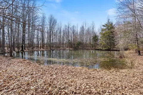 Other - 60 Cessna Ave, Greenbrier, AR 72058 photo 14 of 14