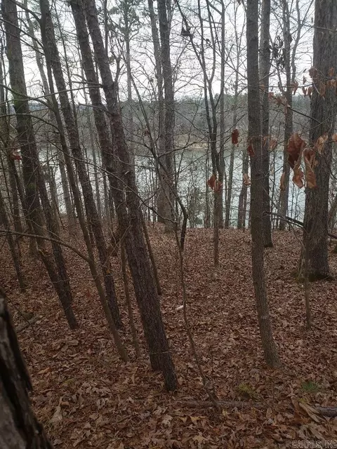 33 Waterfront Ct, Hot Springs, AR 71913