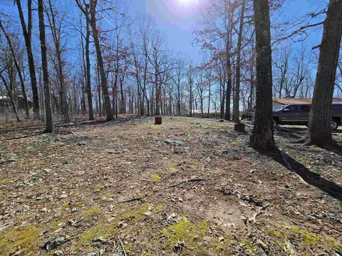 129 Frontier Dr, Williford, AR 72482 photo 15