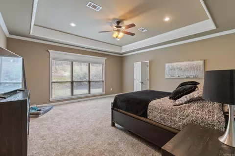 11198 Stonehill Dr, Alexander, AR 72002 photo 15