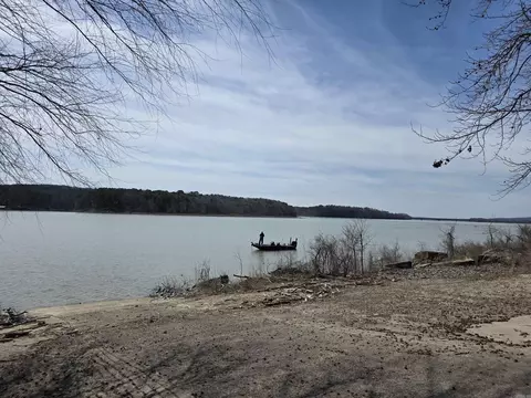 815 Davidson Cir, Edgemont, AR 72044 photo 49