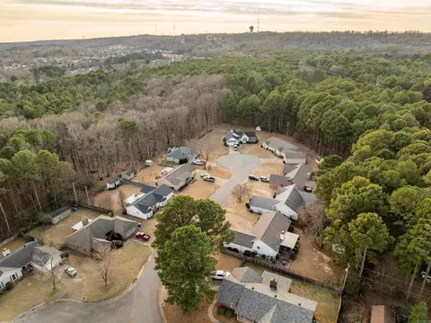 30 Pointer Dr, Alexander, AR 72002 photo 3