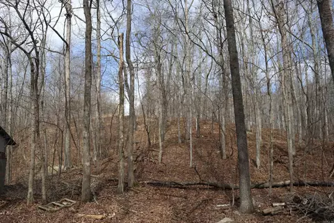 355 Arnold Hollow Rd, Mountain View, AR 72560 photo 13