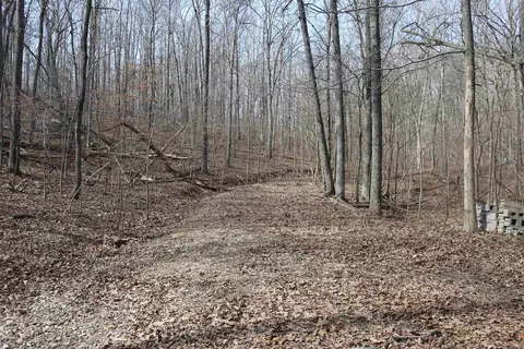 355 Arnold Hollow Rd, Mountain View, AR 72560 photo 14