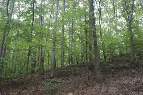 355 Arnold Hollow Rd, Mountain View, AR 72560 photo 22