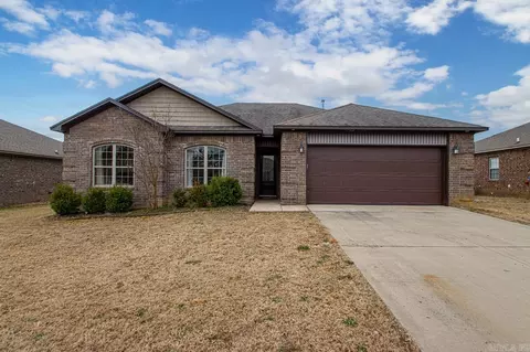 19 Grand Stand Dr, Austin, AR 72007 photo 1