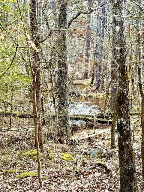 12058 Hwy 92 E, Higden, AR 72067 photo 32