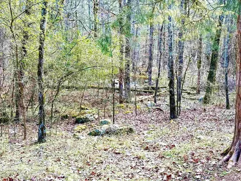 12058 Hwy 92 E, Higden, AR 72067 photo 31