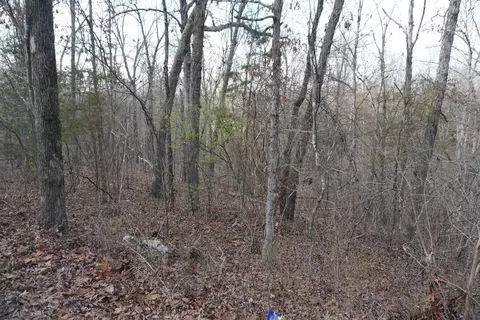 000 Algonquin Cir, Cherokee Village, AR 72529