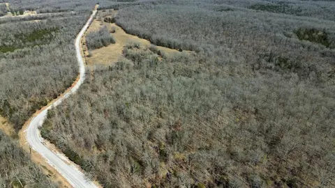 177 Highway 58 # A, Williford, AR 72482 photo 25