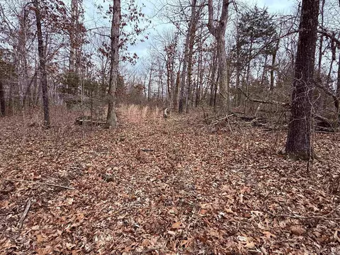 177 Highway 58 # A, Williford, AR 72482 photo 9