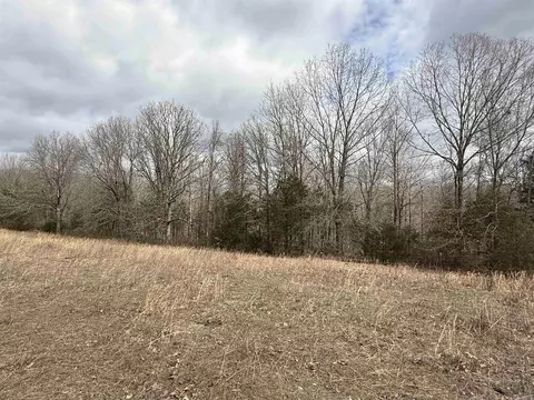 177 Highway 58 # A, Williford, AR 72482 photo 6