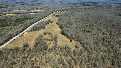 177 Highway 58 # A, Williford, AR 72482 photo 27