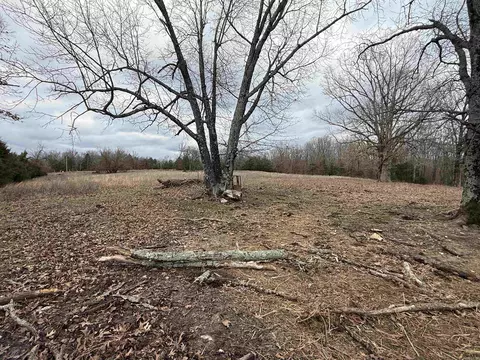 177 Highway 58 # A, Williford, AR 72482 photo 11