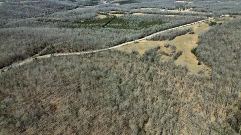 177 Highway 58 # A, Williford, AR 72482 photo 2