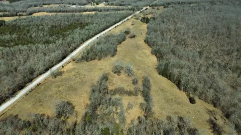 177 Highway 58 # A, Williford, AR 72482 photo 28