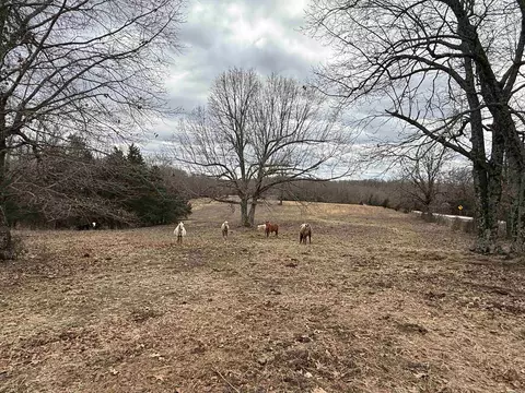 177 Highway 58 # A, Williford, AR 72482 photo 4