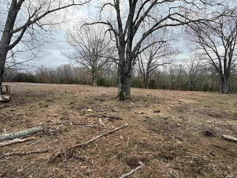177 Highway 58 # A, Williford, AR 72482 photo 12