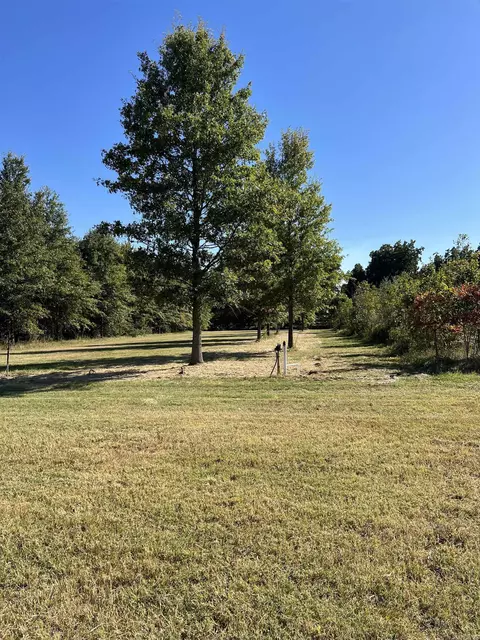 1577 E Main St, Piggott, AR 72454 photo 22