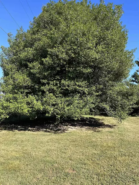 1577 E Main St, Piggott, AR 72454 photo 34