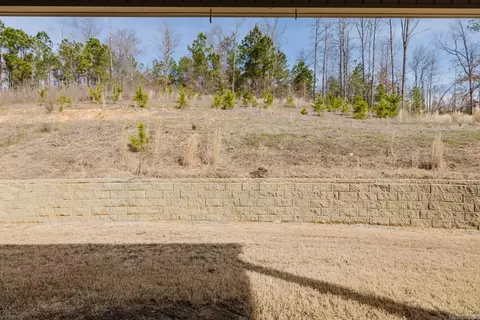 4149 Hampton Dr, Benton, AR 72019 photo 42