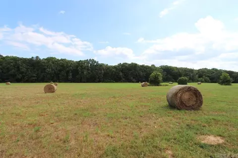 278 Hwy 64 E # -H, Conway, AR 72032 photo 8
