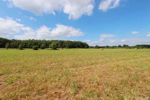 278 Hwy 64 E # -H, Conway, AR 72032 photo 18