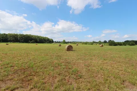 278 Hwy 64 E # -H, Conway, AR 72032 photo 21