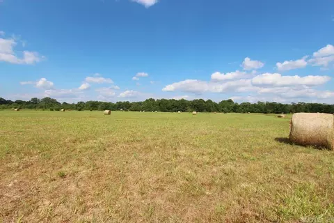 278 Hwy 64 E # -H, Conway, AR 72032 photo 25