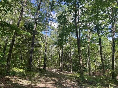 Cr 2909, Marble Falls, AR 72648 photo 4