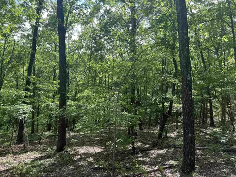 Cr 2909, Marble Falls, AR 72648 photo 6
