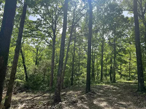 Cr 2909, Marble Falls, AR 72648 photo 13