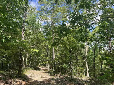 Cr 2909, Marble Falls, AR 72648 photo 5