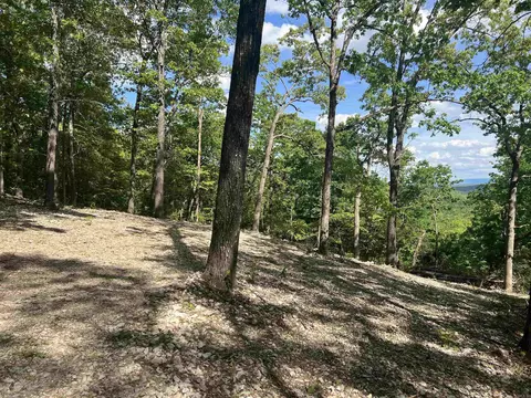 Cr 2909, Marble Falls, AR 72648 photo 7