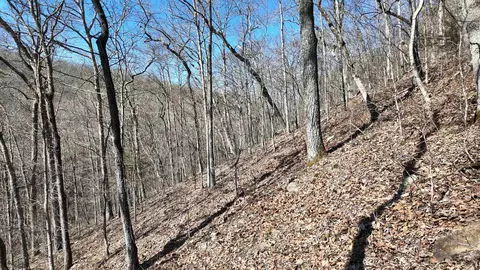 1289 Dodd Mountain Rd, Shirley, AR 72153 photo 13