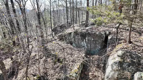 1289 Dodd Mountain Rd, Shirley, AR 72153 photo 6