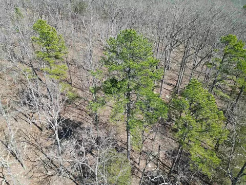 1289 Dodd Mountain Rd, Shirley, AR 72153 photo 18