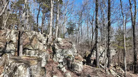 1289 Dodd Mountain Rd, Shirley, AR 72153 photo 7