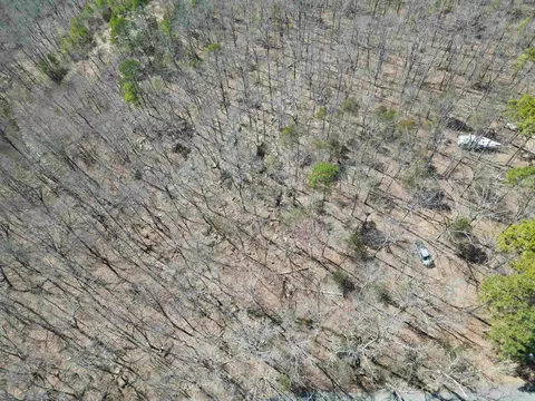 1289 Dodd Mountain Rd, Shirley, AR 72153 photo 22