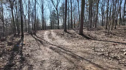 1289 Dodd Mountain Rd, Shirley, AR 72153 photo 4