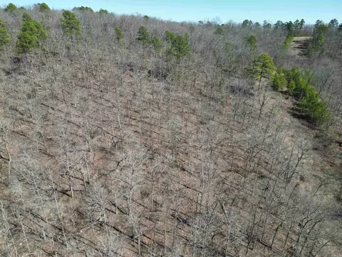 1289 Dodd Mountain Rd, Shirley, AR 72153 photo 20
