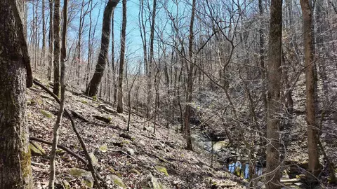 1289 Dodd Mountain Rd, Shirley, AR 72153 photo 8