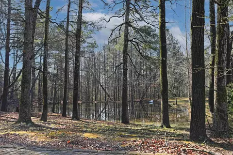 9000 Henderson Rd, Pine Bluff, AR 71603 photo 4