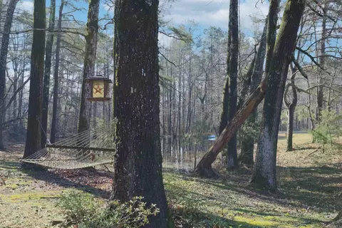 9000 Henderson Rd, Pine Bluff, AR 71603 photo 5