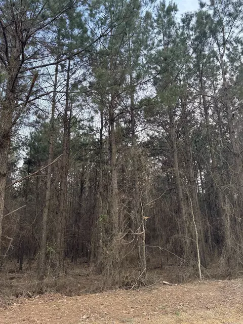 910 Highway 8 Hwy, Warren, AR 71671 photo 5