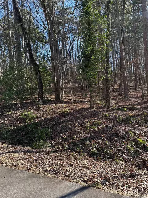 Arias Way, Hot Springs Village, AR 71909